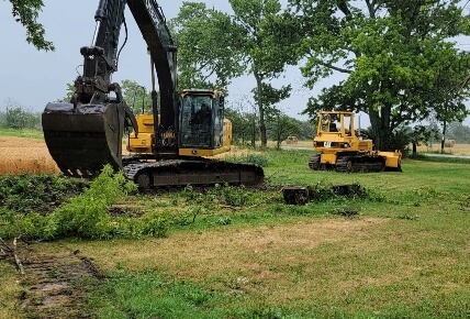 Land and brush thumbnail image